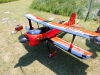 DSCI0445