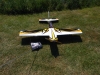 DSCI0446
