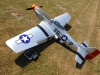 DSCI0457