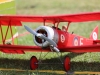 1_09_WW-I-Stampe_2