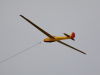 Mue13e_Bergfalke2_sickte_01_230812