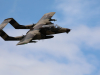 Bronco_sickte_02_230812