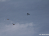 Duo-Schlepp_sickte_230813