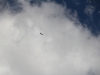 031_f